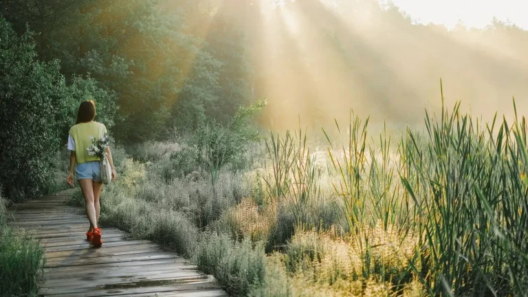 Femme de dos marchant sur un chemin en bois dans les roseaux, sous les rayons du soleil