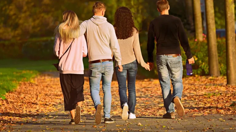 Deux couples vus de dos qui marchent ensemble dans un parc aux feuilles d'automne
