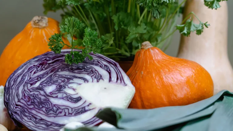 Chou rouge coupé, potirons et persil frais posés sur une table