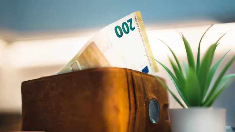 Portefeuille en cuir contenant un billet de 200 euros, à côté d'une petite plante verte