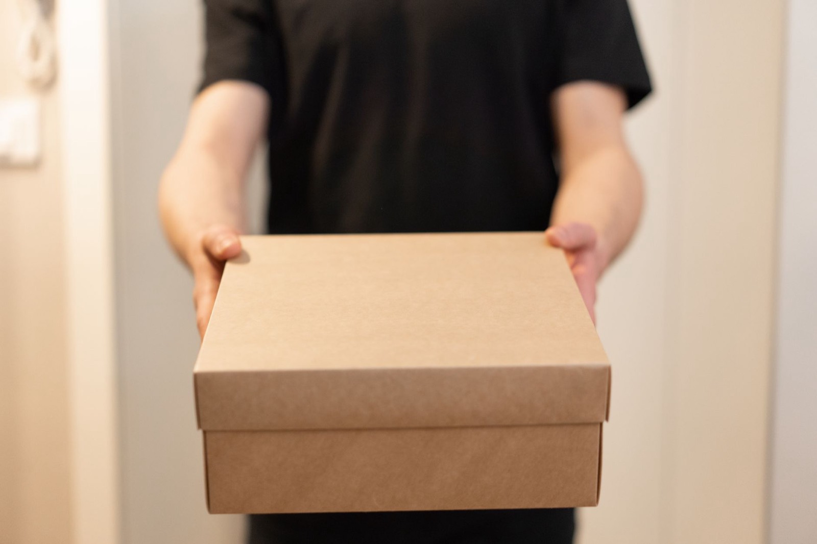 Colis en carton neutre déposé devant une porte d'entrée