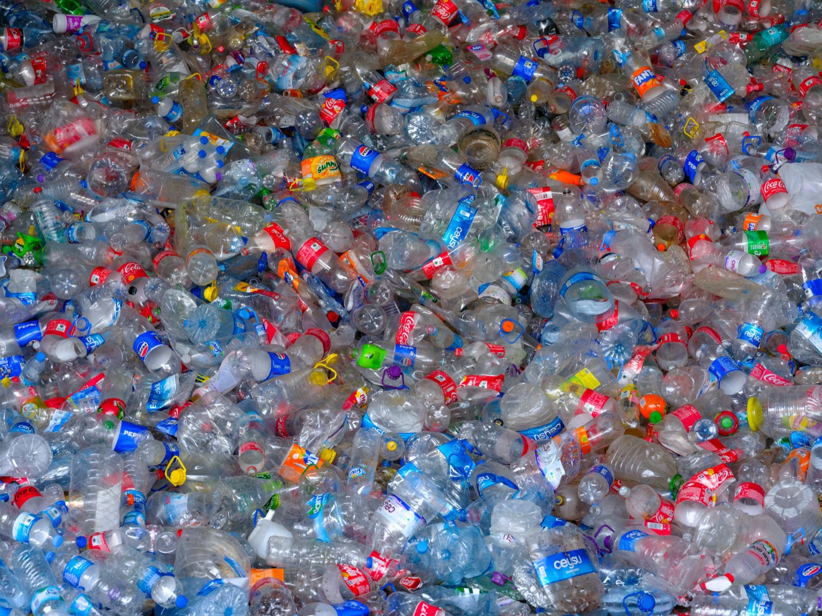 Bouteilles en plastique PET, matière première principale du polyester recyclé utilisé dans les vêtements